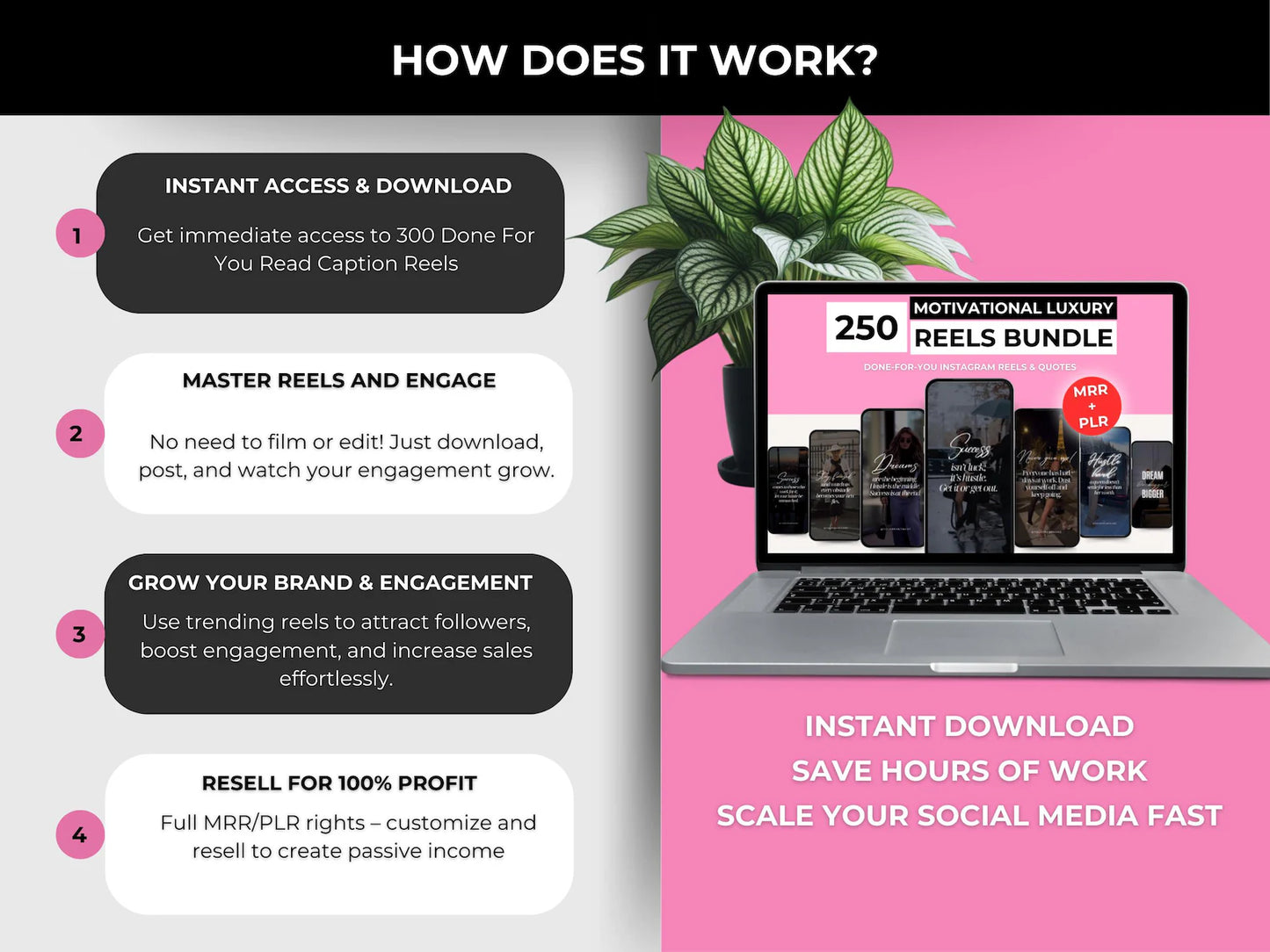 250 Motivational Luxury Reels