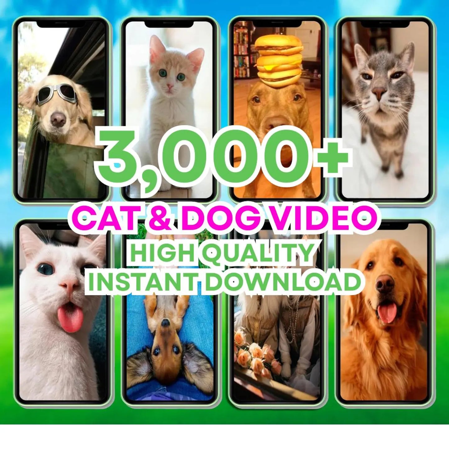 100K Reels Bundle