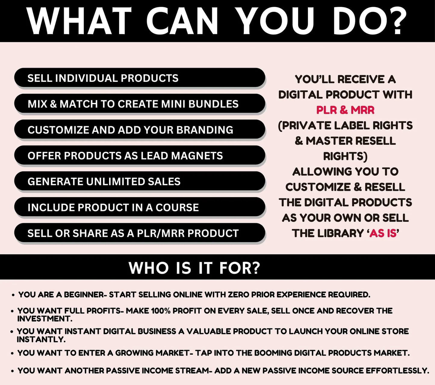 20,000+ Done For You Digital Products Bundle