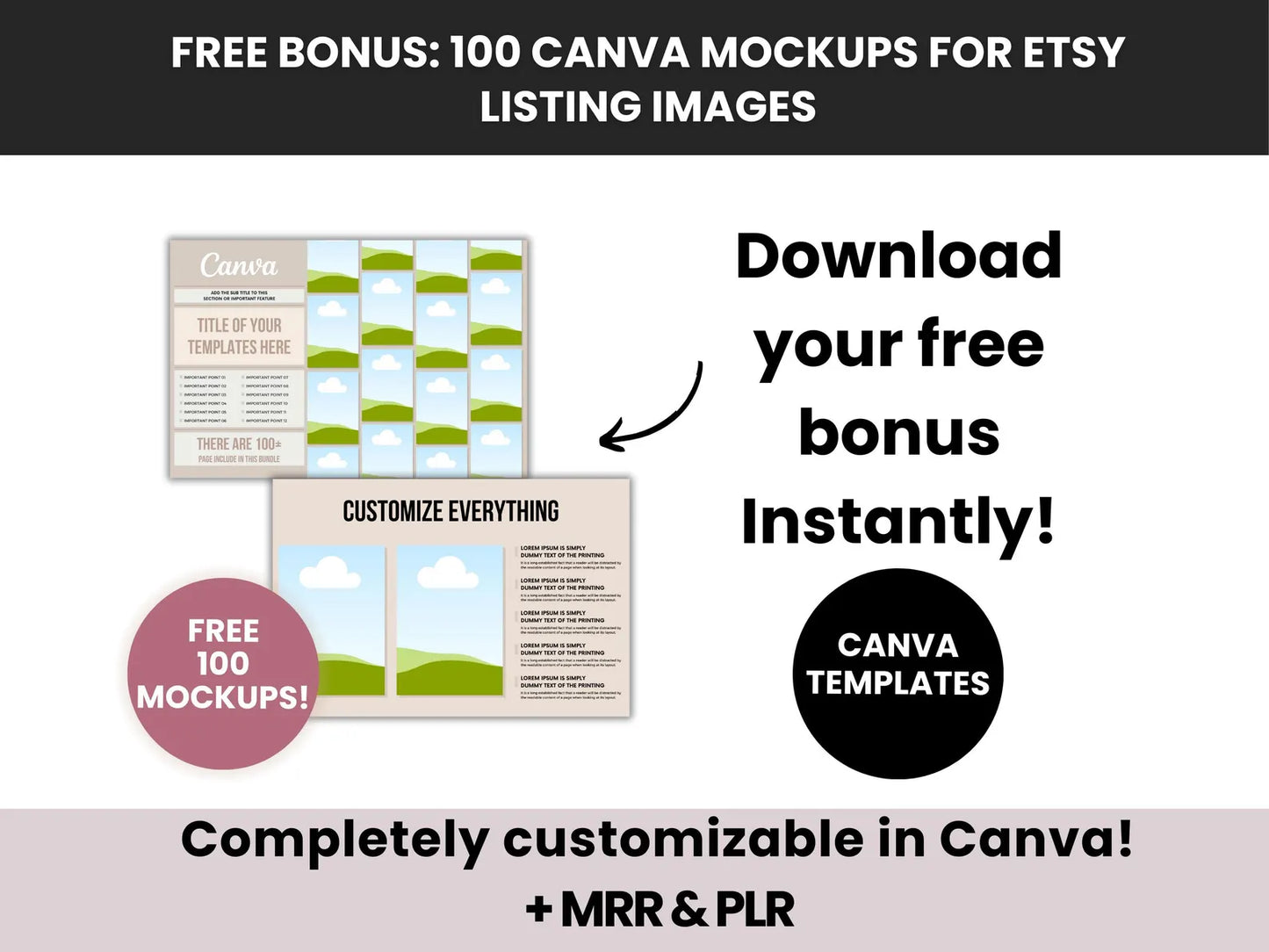 Canva Guide for Beginners